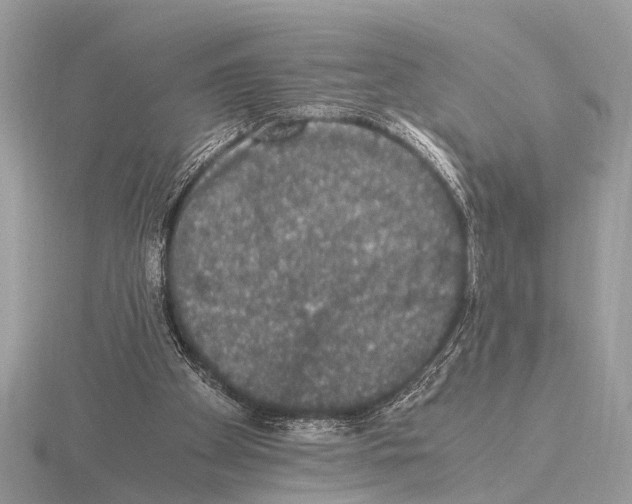 X0000115340105200912141248