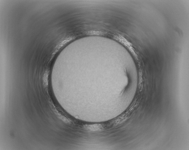 X0000115340106200912141248