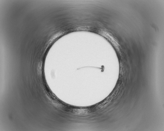 X0000115340107200912141248