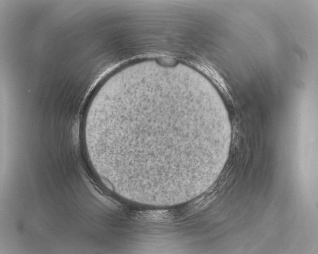 X0000115340108200912141248