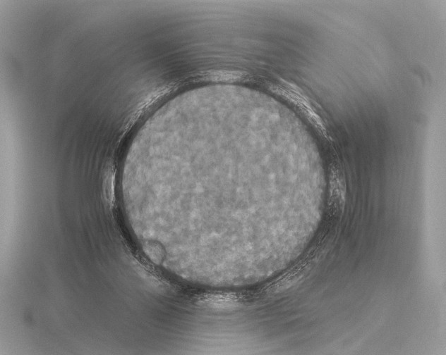 X0000115340110200912141248