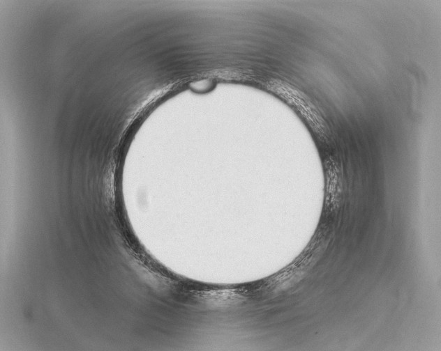 X0000115340112200912141248