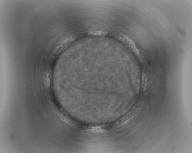 X0000115340114200912141248