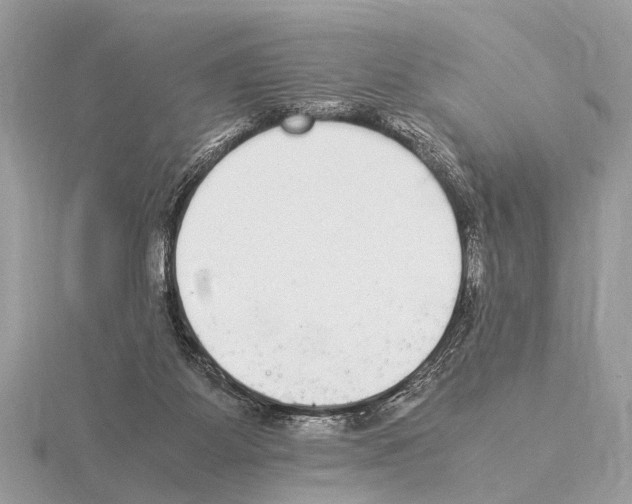 X0000115340115200912141248