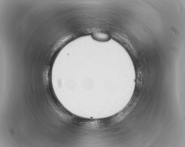 X0000115340116200912141248