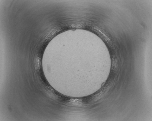 X0000115340117200912141248