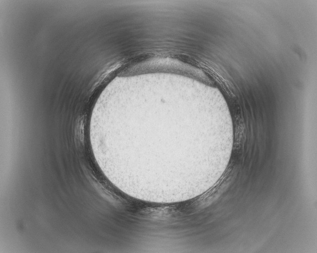 X0000115340120200912141248