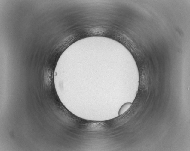 X0000115340122200912141248