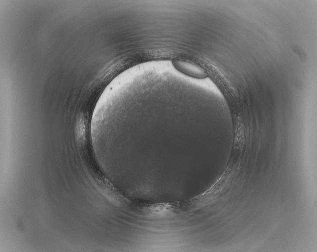 X0000115340124200912141248