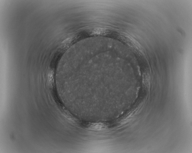 X0000115340127200912141247