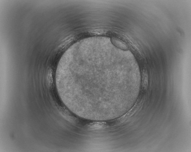 X0000115340128200912141247