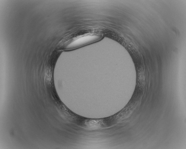 X0000115340129200912141247