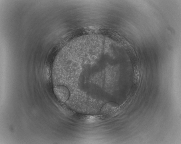 X0000115340130200912141247