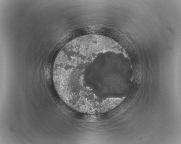 X0000115340131200912141247