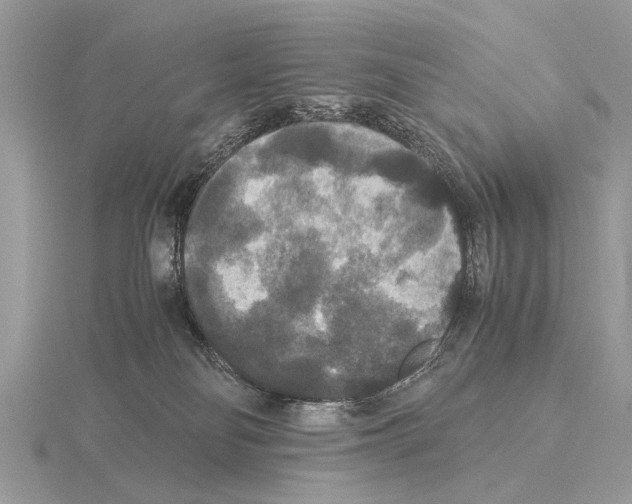 X0000115340134200912141247