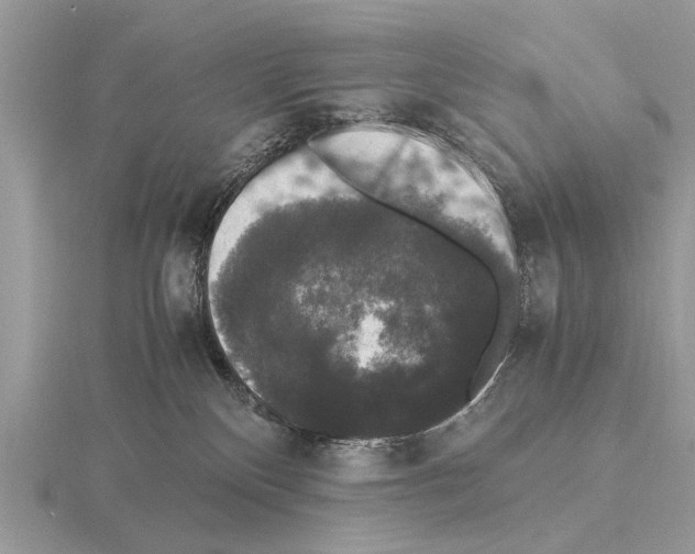 X0000115340136200912141247