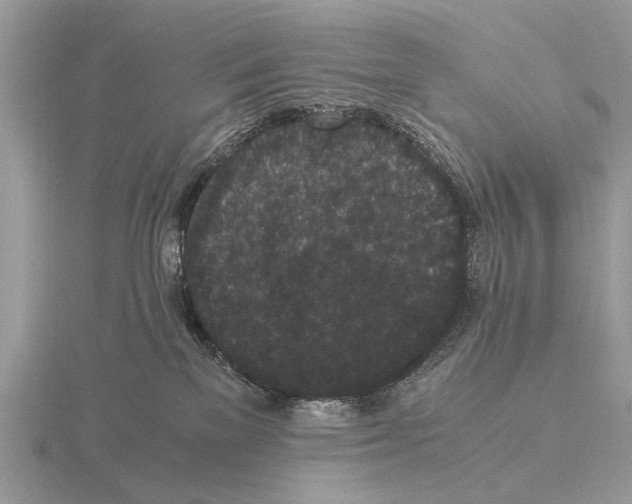 X0000115340137200912141247