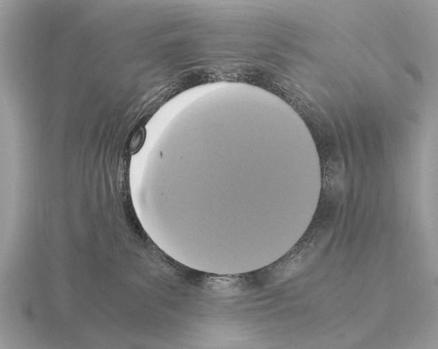 X0000115340139200912141247