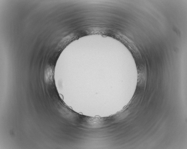 X0000115340142200912141247