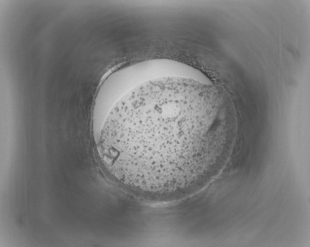 X0000115340144200912141247