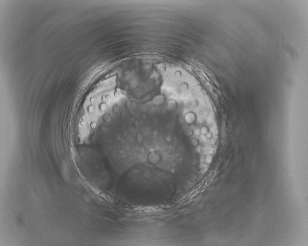 X0000115340145200912141247