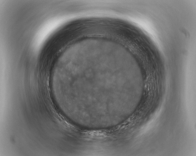 X0000115340146200912141247