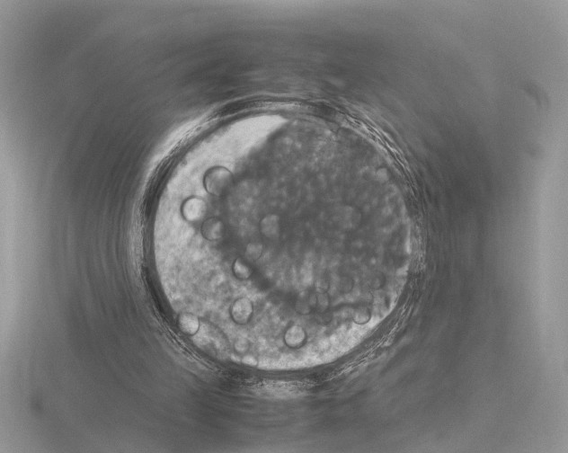 X0000115340149200912141247