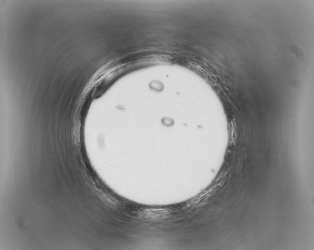 X0000115340150200912141247