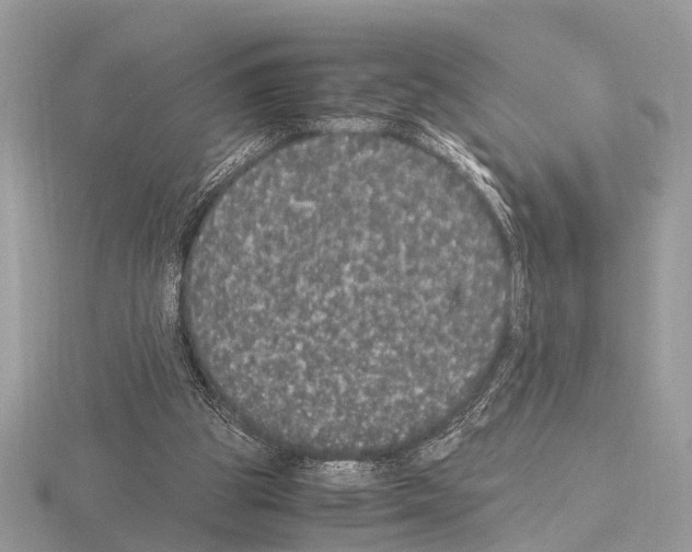 X0000115340153200912141247