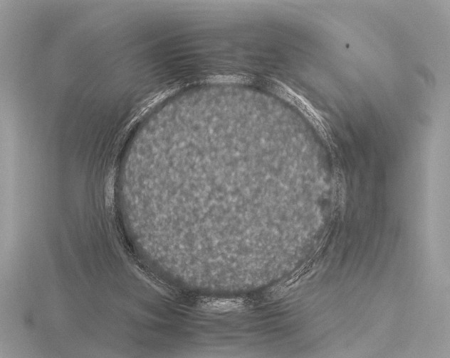 X0000115340155200912141247