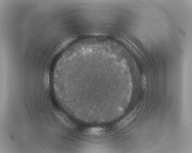 X0000115340158200912141247