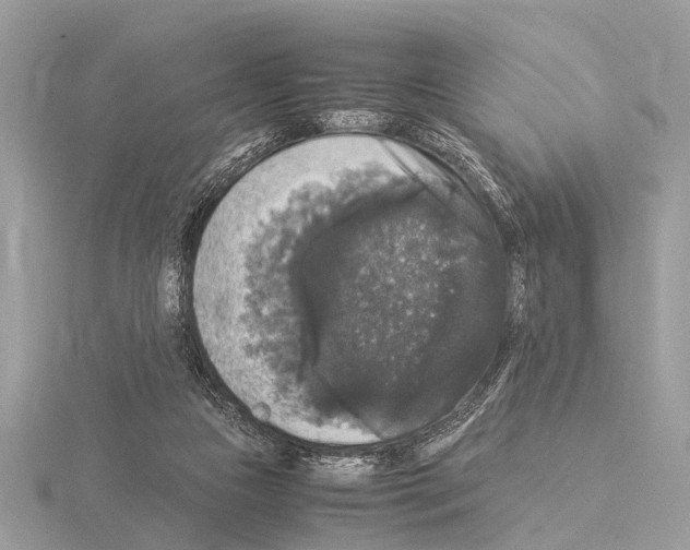 X0000115340161200912141247