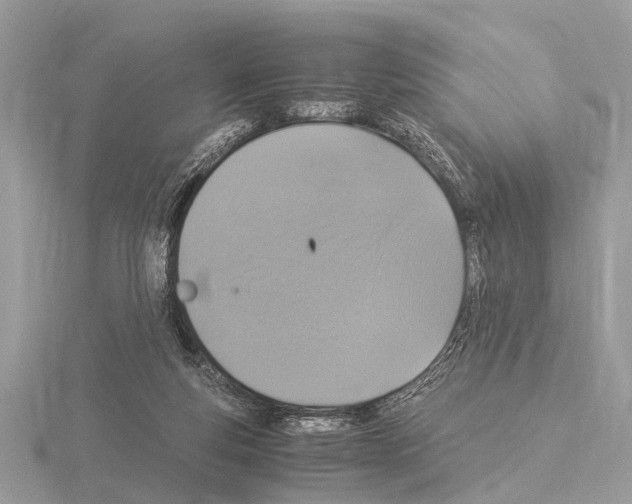 X0000115340163200912141247