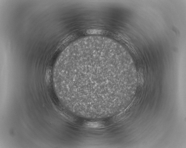 X0000115340171200912141247