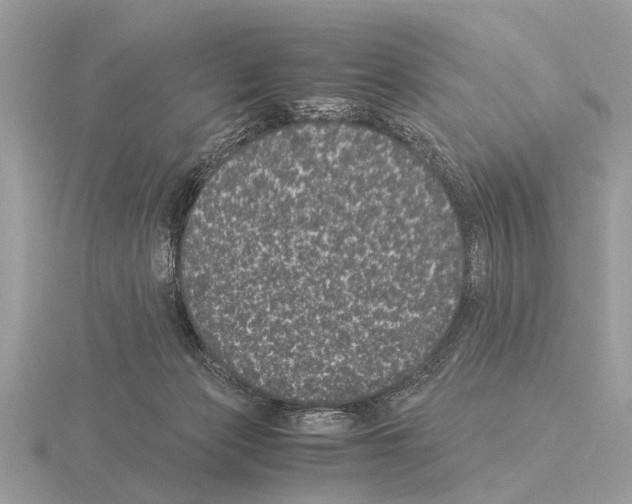 X0000115340173200912141247