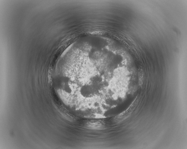 X0000115340175200912141247