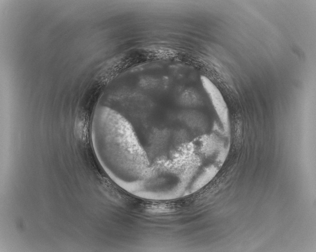 X0000115340177200912141247