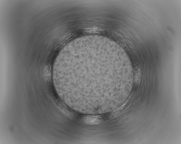 X0000115340179200912141247