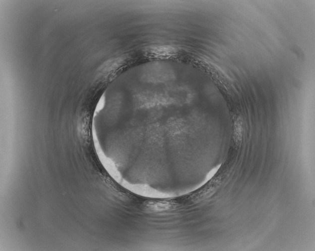 X0000115340181200912141247