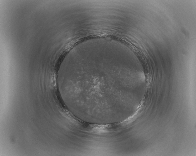 X0000115340182200912141247