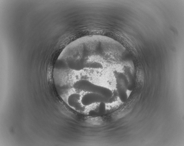 X0000115340185200912141247