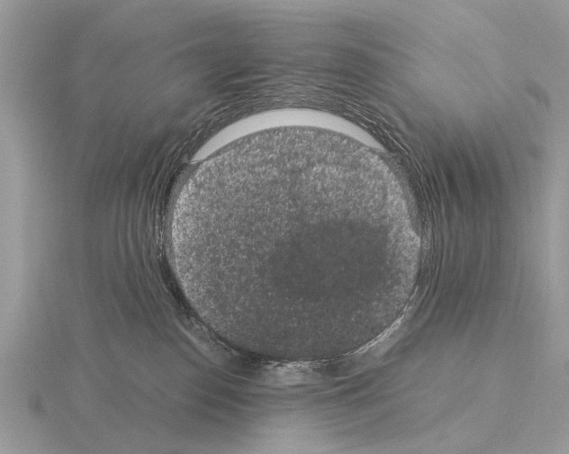 X0000115340186200912141247