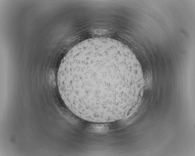 X0000115340187200912141247