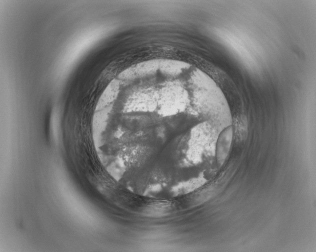 X0000115340189200912141247