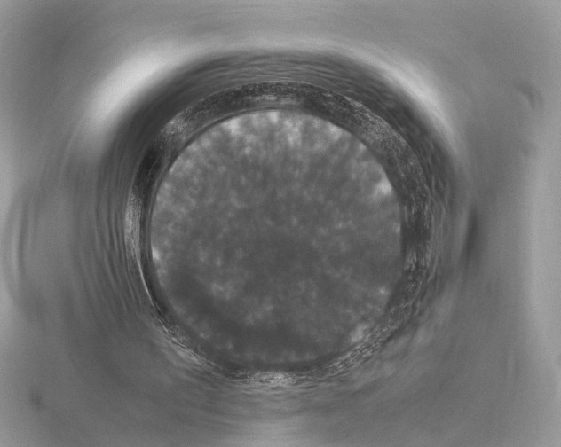 X0000115340195200912141247