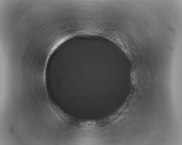 X0000115340196200912141247