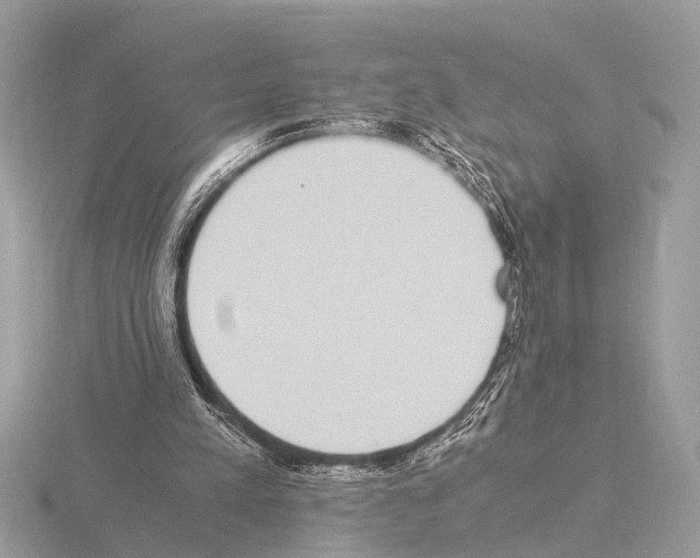 X0000115340197200912141247