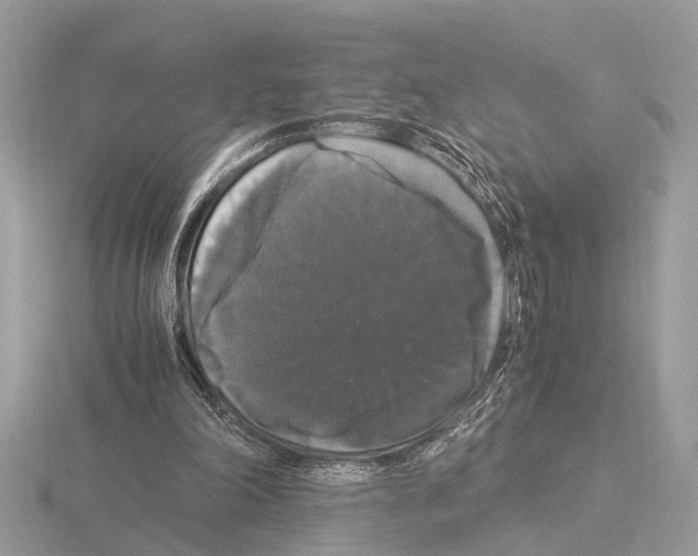 X0000115340198200912141247