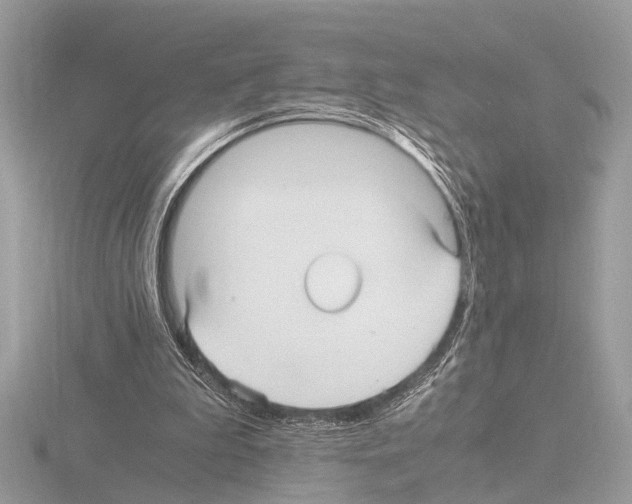 X0000115340199200912141247