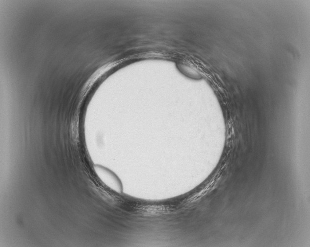 X0000115340200200912141247